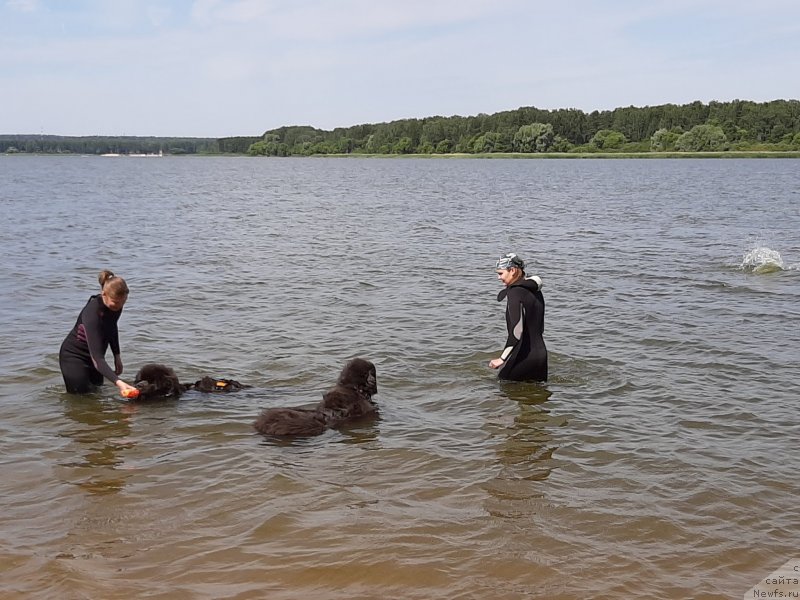 Фотография № 243827