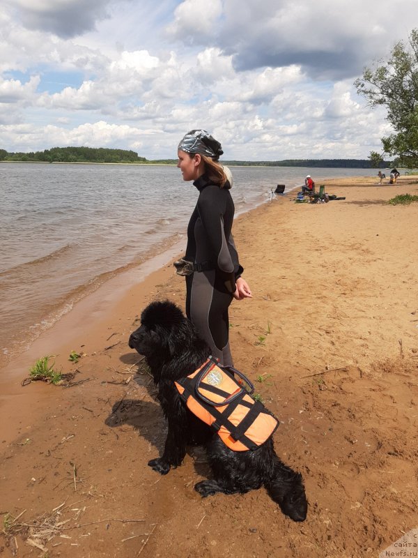 Фотография № 243829