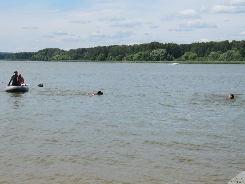 Фотография № 243833