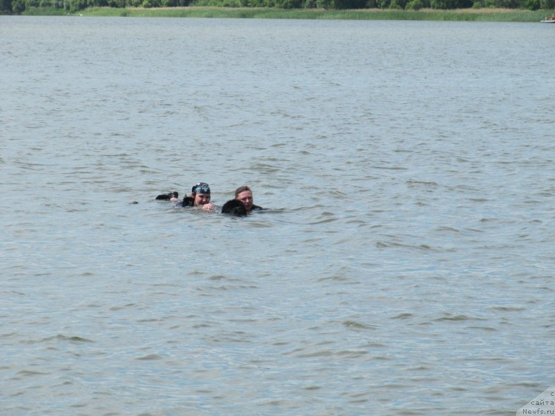 Фотография № 243836