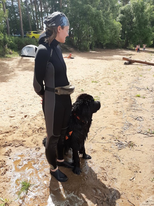 Фотография № 243837