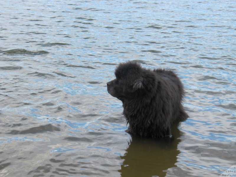 Фотография № 243838