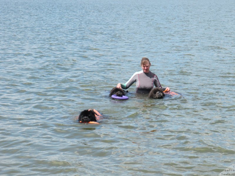 Фотография № 243844