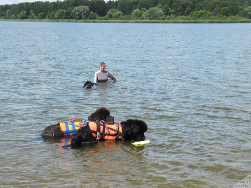 Фотография № 243845