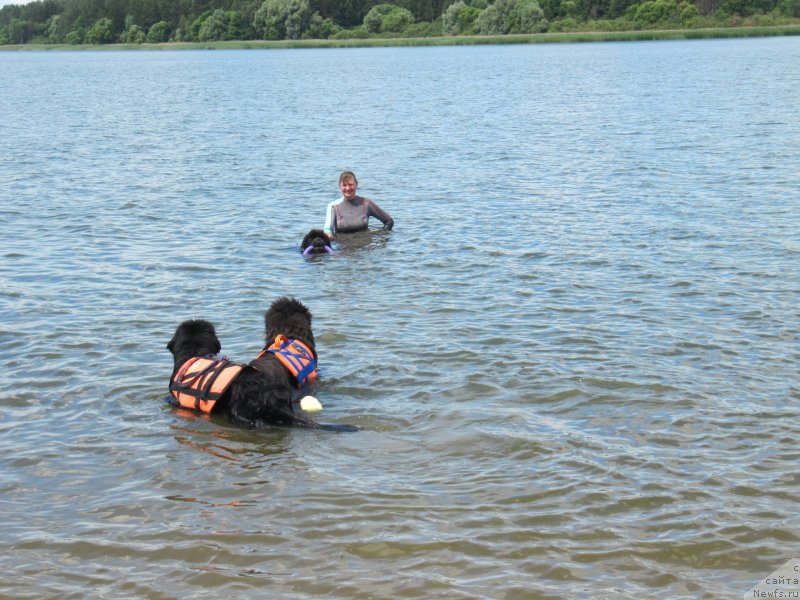 Фотография № 243846