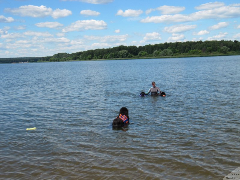 Фотография № 243847