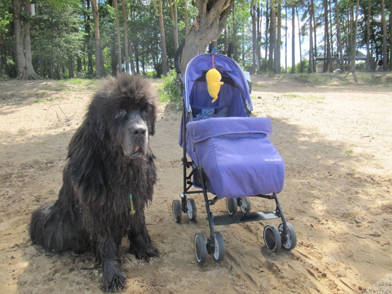 Фотография № 243849