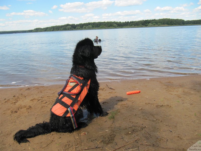 Фотография № 243852