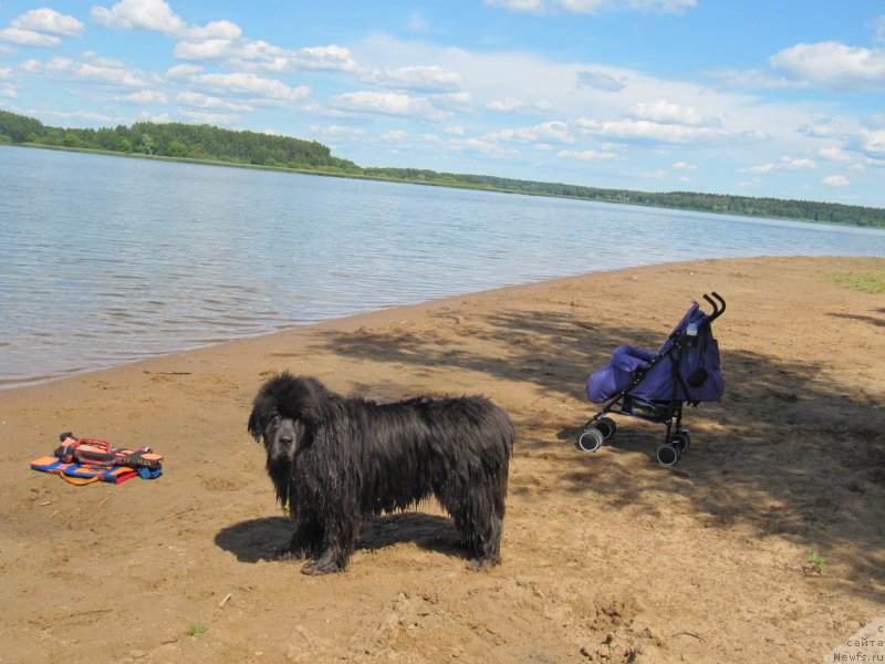 Фотография № 243855