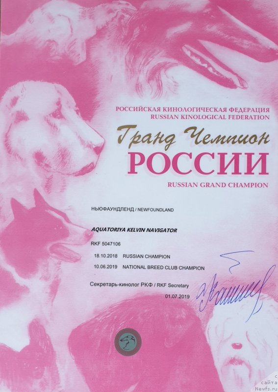 Фото: ньюфаундленд Акватория Келвин Навигатор (Aquatoriya Kelvin Navigator)