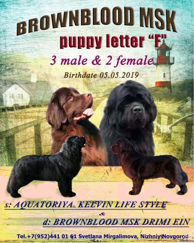 Фотография № 243915