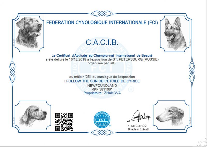 Фото: ньюфаундленд I Follow The Sun de L'Etoile de Cyrice