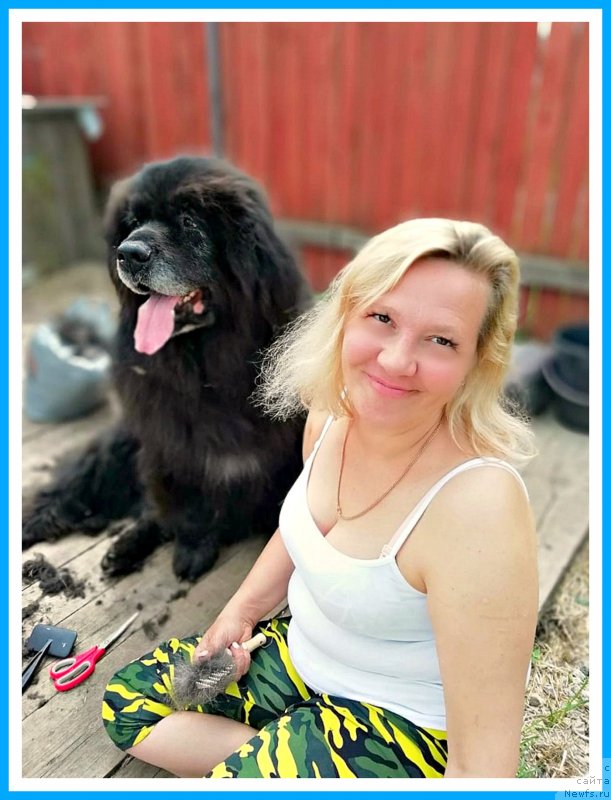 Фотография № 243926