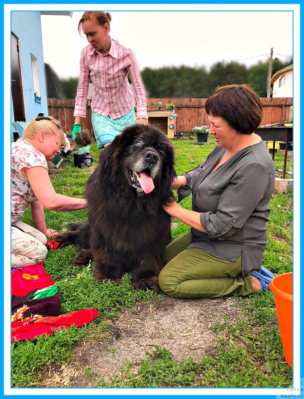 Фотография № 243928