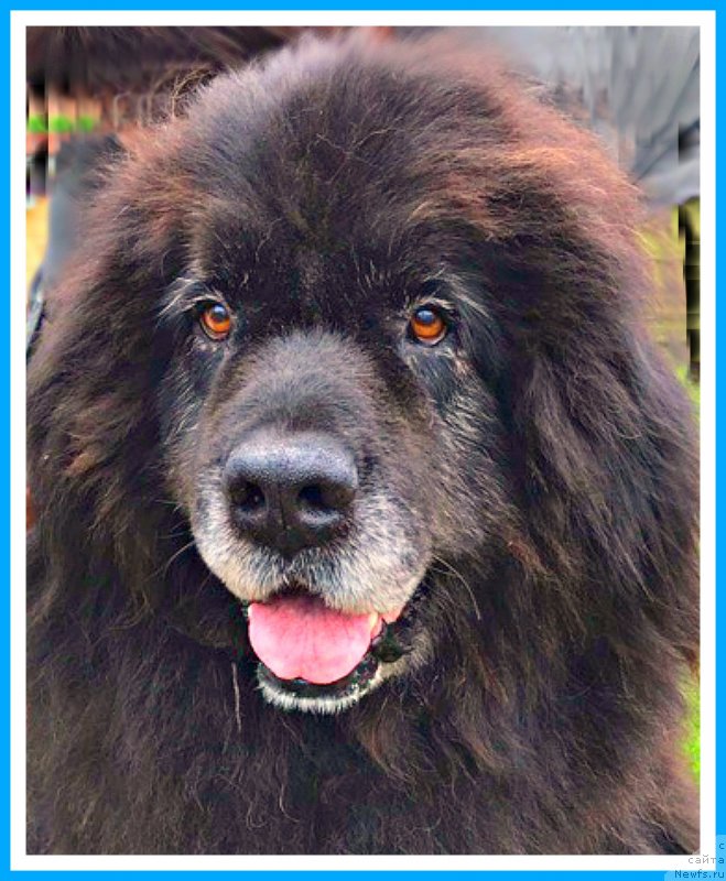 Фотография № 243933