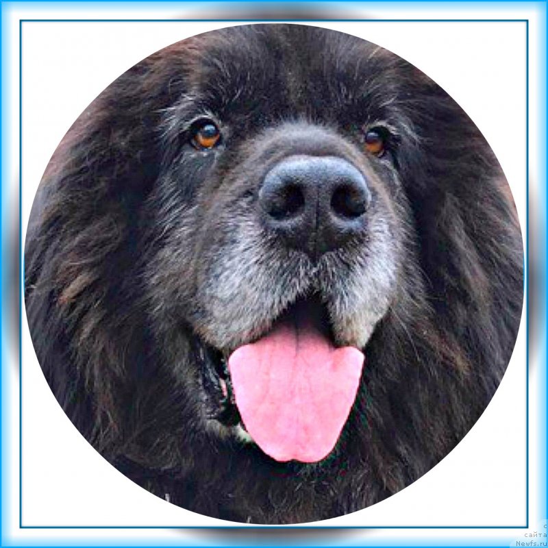 Фотография № 243935