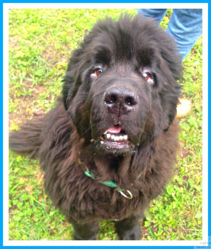 Фотография № 243952