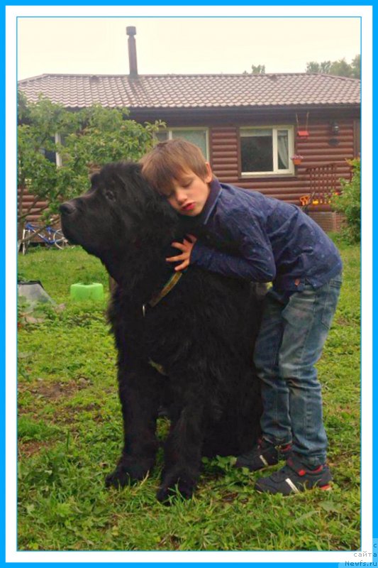 Фотография № 243953