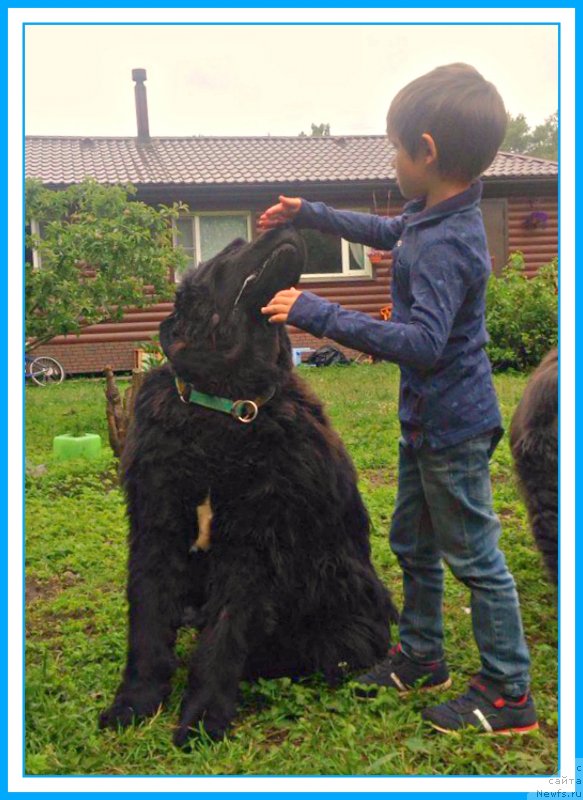 Фотография № 243954