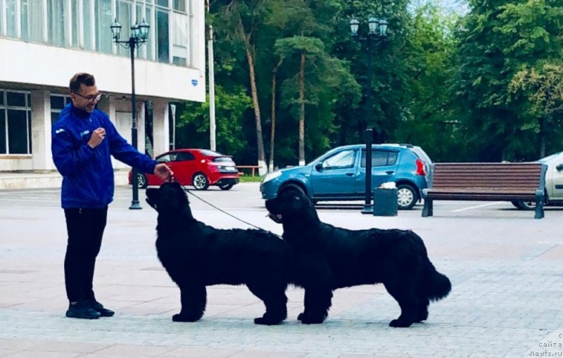 Фотография № 243956