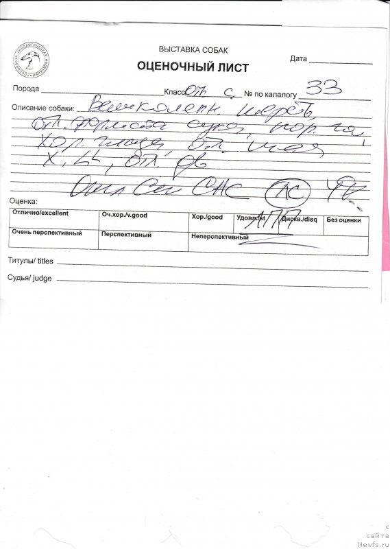 Фотография № 243964