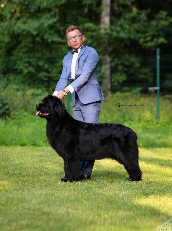 Фотография № 243965