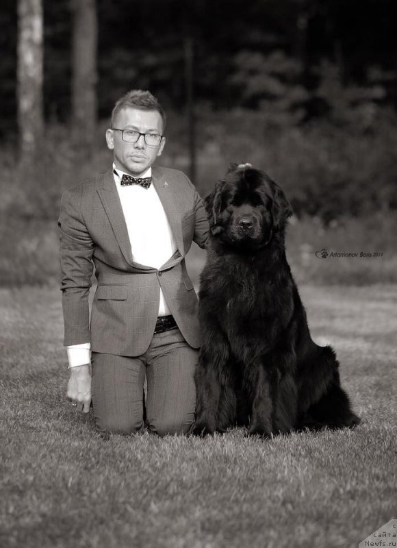 Фотография № 243966