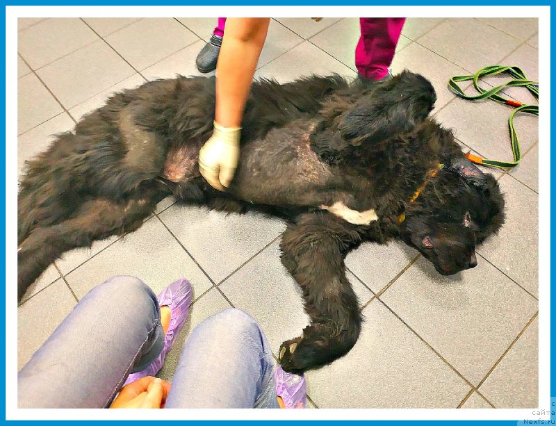 Фотография № 243971