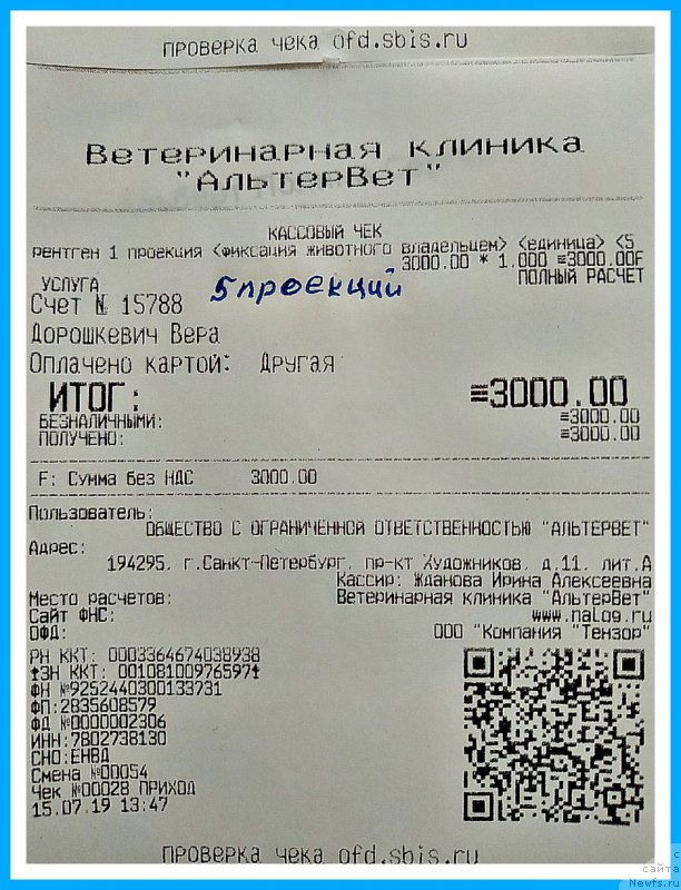 Фотография № 243976