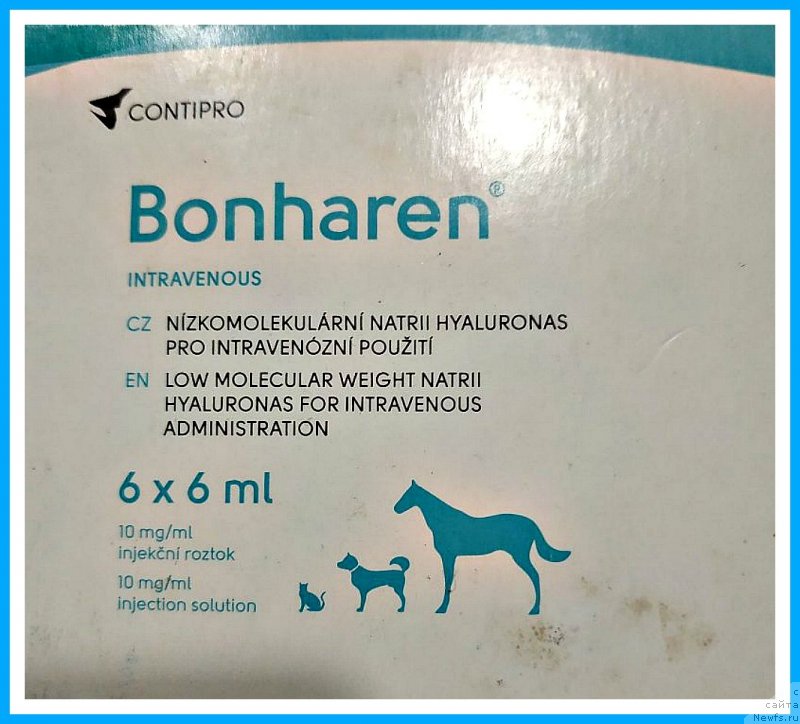 Фотография № 243985