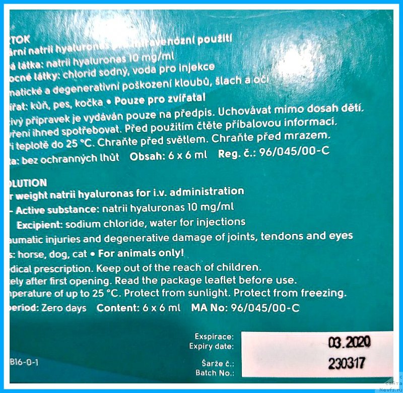 Фотография № 243986