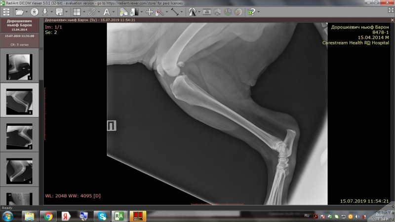 Фотография № 243987