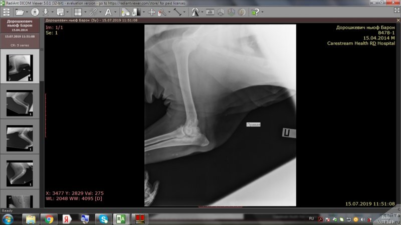 Фотография № 243988