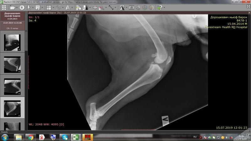 Фотография № 243989