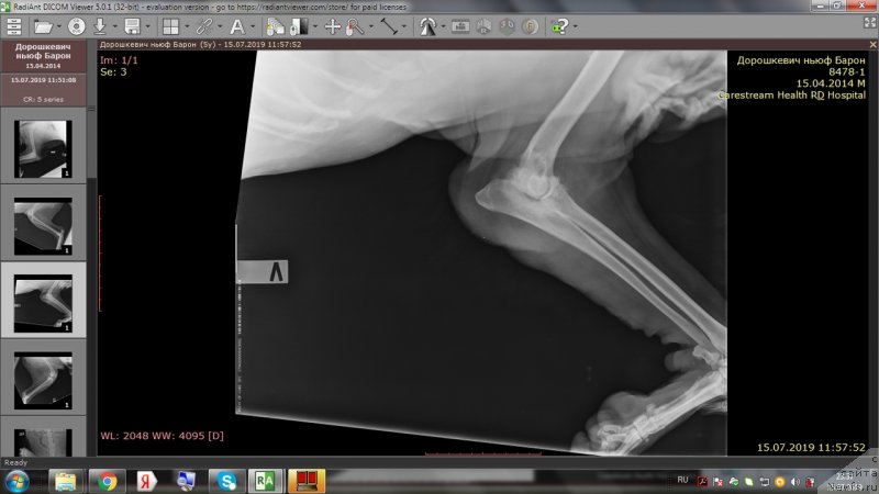 Фотография № 243990