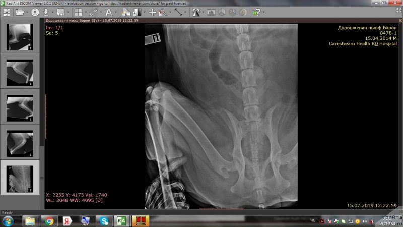 Фотография № 243991