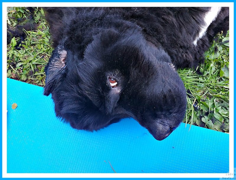 Фотография № 243992