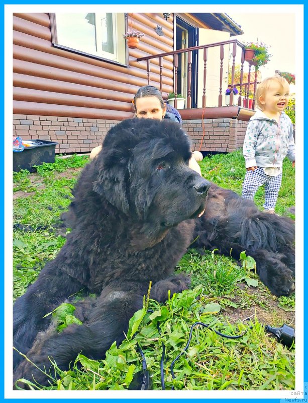 Фотография № 243993