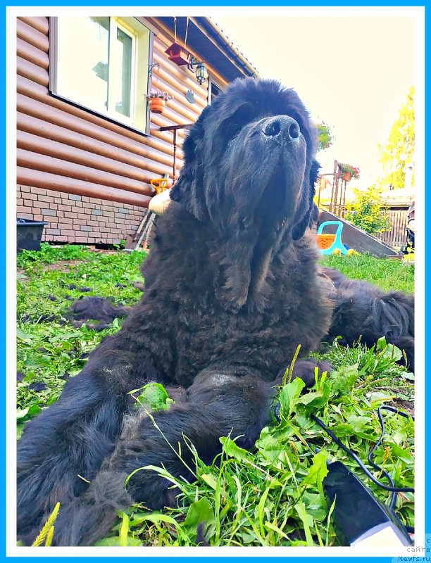 Фотография № 243994