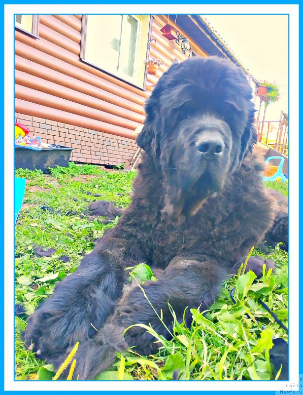 Фотография № 243996