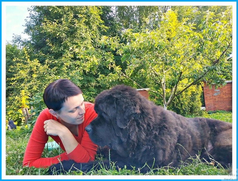 Фотография № 243998