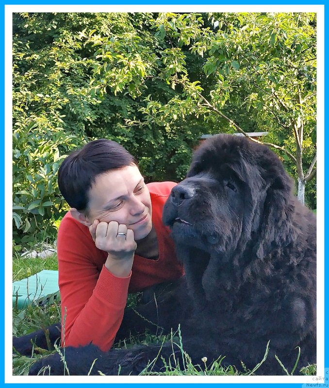 Фотография № 243999