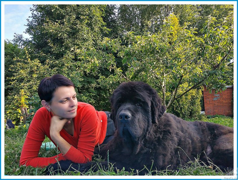 Фотография № 244000