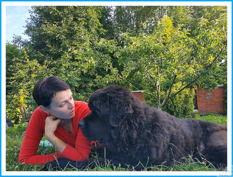 Фотография № 244004