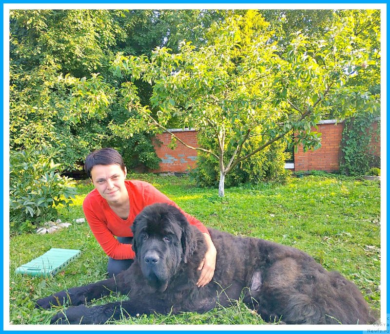 Фотография № 244005