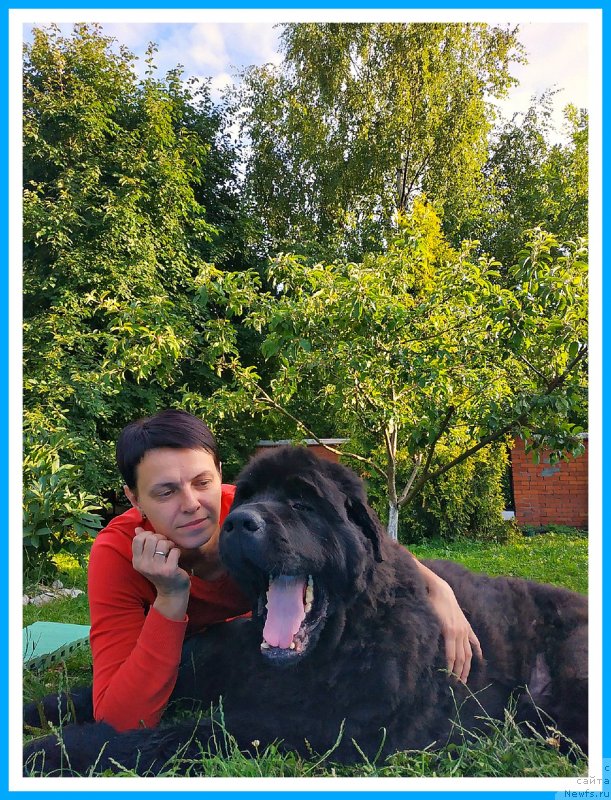 Фотография № 244006