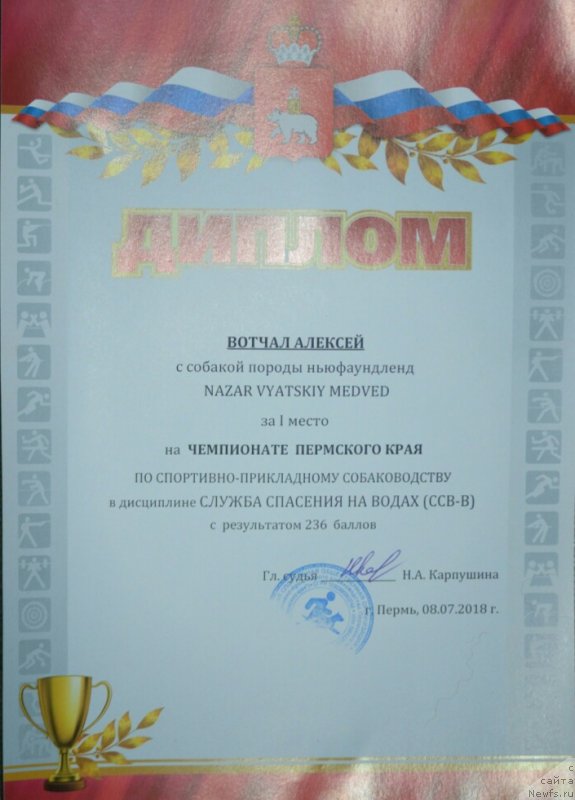 Фото: ньюфаундленд Назар Вятский Медведь (Nazar Vyatskiy Medved)