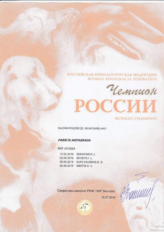 Фотография № 244012