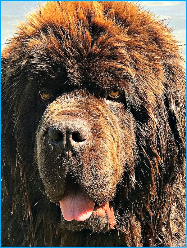 Фотография № 244015