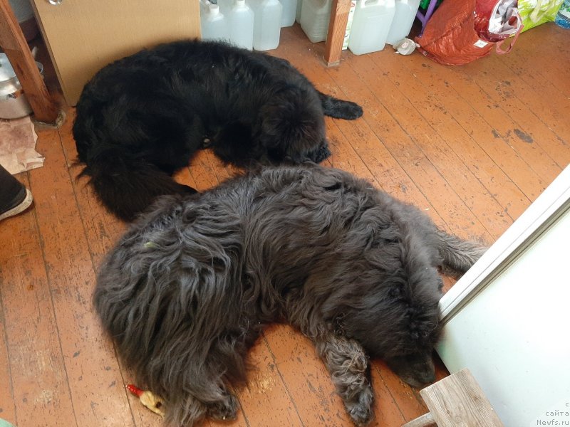 Фотография № 244017